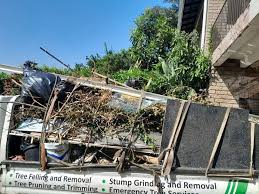 Best Scrap Metal Removal  in Roscoe, IL